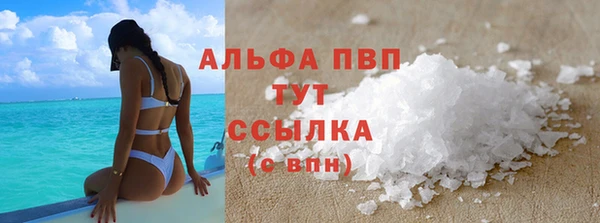 гидра Богданович