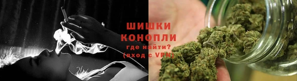 сатива Строитель