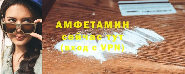шишки Аркадак