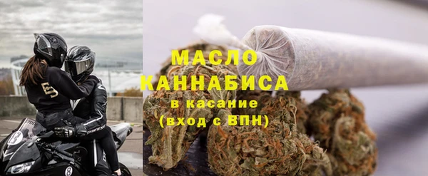 шишки Аркадак