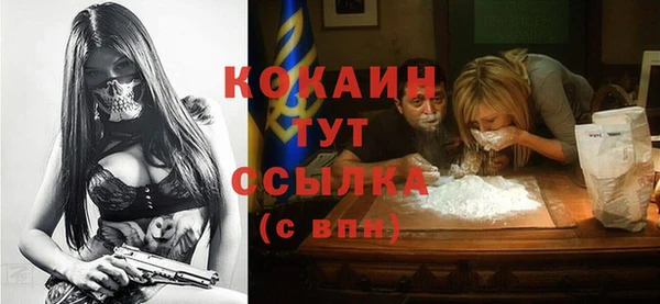 шишки Аркадак