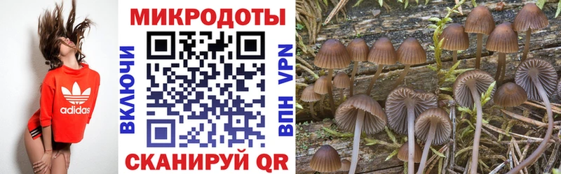 kraken вход  Можга  Галлюциногенные грибы мухоморы 