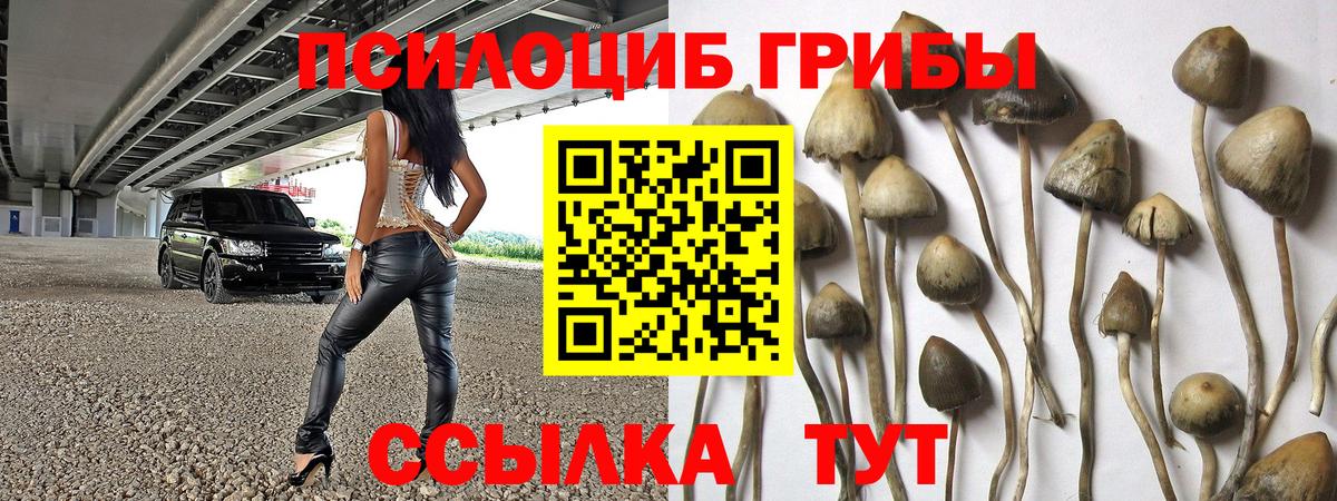 Можга  Галлюциногенные грибы ЛСД  Вход с VPN  Галлюциногенные грибы мицелий 