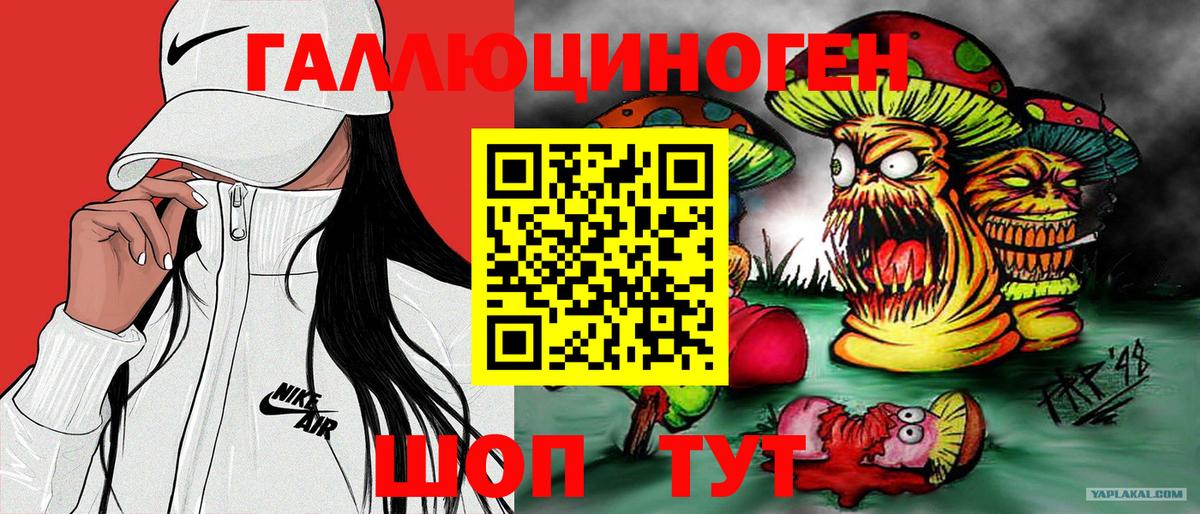 Галлюциногенные грибы Cubensis Можга